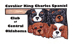 The Cavalier King Charles Spaniel Club of Central Oklahoma